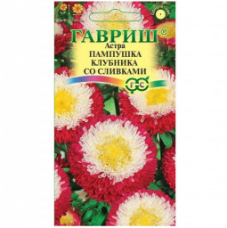 Астра Пампушка клубника со сливками 0,3гр ГШ