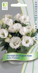 Эустома махровая Рози Бело-розовая 5шт Поиск