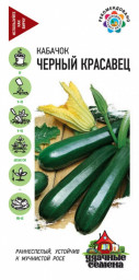 Кабачок Черный красавец/Удачные семена 2гр ГШ