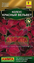 Колеус блюме Красный вельвет 5/10шт Аэлита