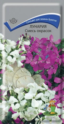 Лунария Смесь окрасок 0,2гр Поиск