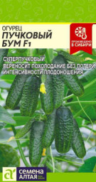 Огурец Пучковый Бум F1 Семена Алтая