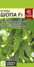 Огурец Шопа F1 5шт Семена Алтая