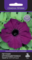 Петуния крупноцветковая Танго Пурпурная 15шт Поиск